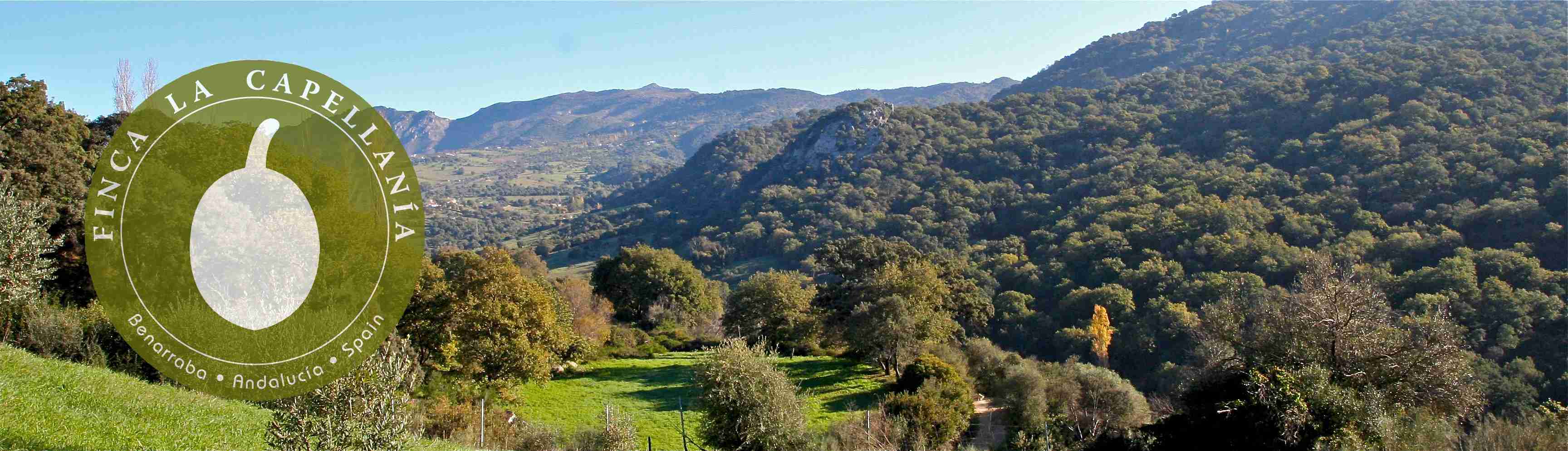 Pristine Finca La Capellania